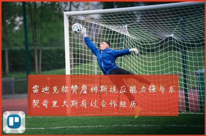 雷迪克称赞詹姆斯适应能力强与东契奇里夫斯有过合作经历