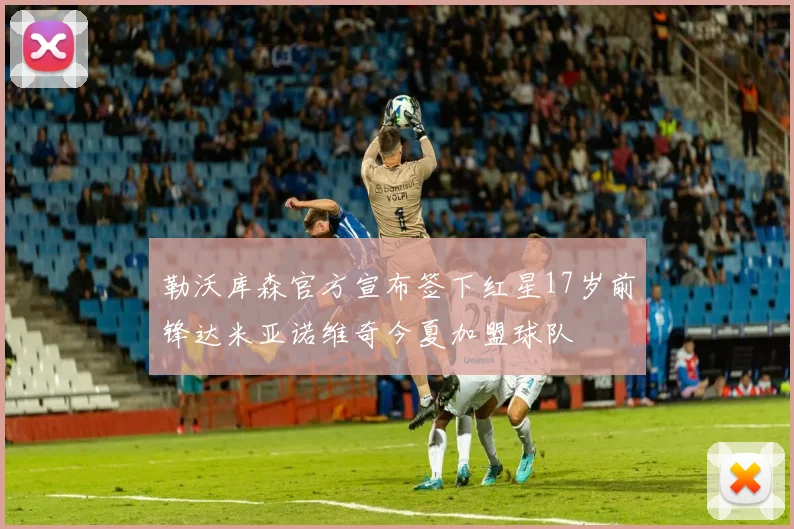 勒沃库森官方宣布签下红星17岁前锋达米亚诺维奇今夏加盟球队