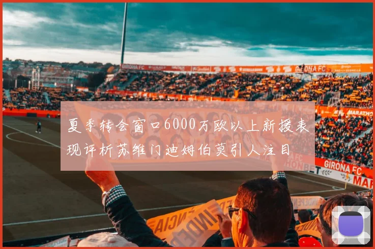 夏季转会窗口6000万欧以上新援表现评析苏维门迪姆伯莫引人注目