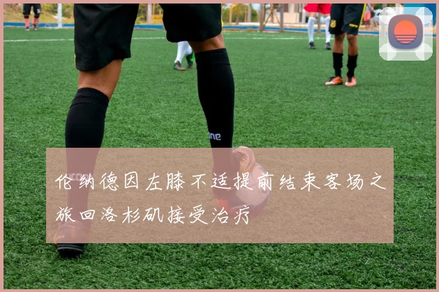伦纳德因左膝不适提前结束客场之旅回洛杉矶接受治疗