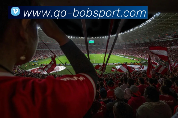 BOB足球平台生态图